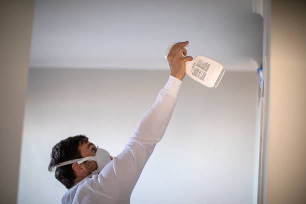 Best Black Mold Remediation in Marillo, CA